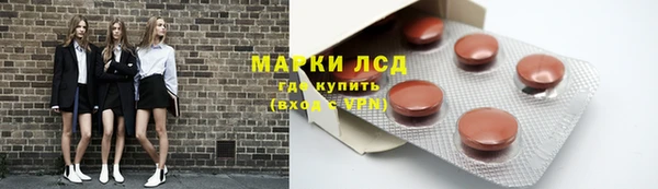сатива Абинск