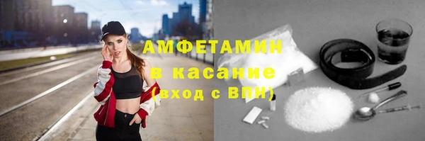 гашик Алексеевка