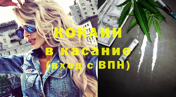сатива Абинск