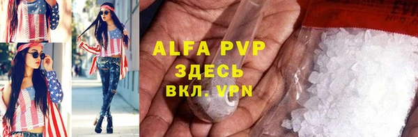 сатива Абинск