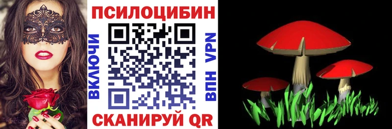 наркошоп  Костерёво  Галлюциногенные грибы мухоморы 
